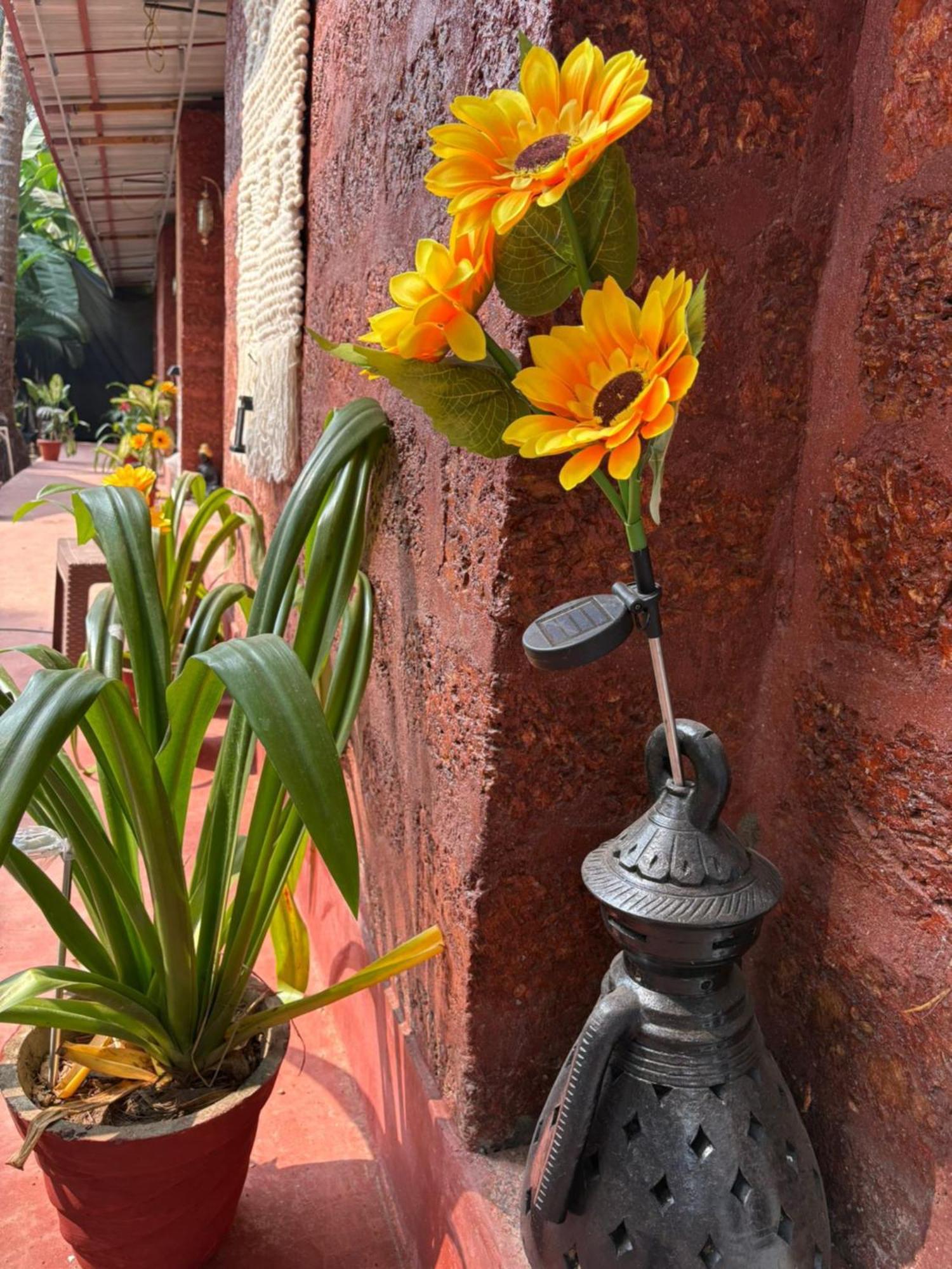 Hotel The Charming Nights Palolem Exteriér fotografie